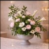 Soft white calla lilies and soft pink ranunculus float above round green