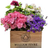 Mixed pink and purple flowering plants arranged in a wooden wine crate box
