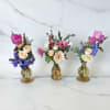 The sweetest way to celebrate mom. Hosting a Mother's Day gathering? Use