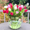 Bouquet of pink, red, and white tulips in a glass vase