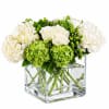 A lush, modern cube arrangement of white roses and hydrangea accented with