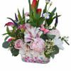 Dutch tulips, Peonies, lilies, lisianthis, roses, calla lilies cymbidium and veronica orchids