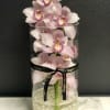 Pink orchids arranged in a clear cylinder vase with pearl beads