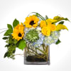 Full of sunshine. This arrangement includes hydrangea, sunflowers, roses, calla lilies, succulents