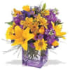 Lilies, roses, stock, monte casino, daisies and more in a clear glass