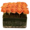 Twenty roses designed in a Topiary in a cube with moss designed