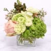 Lush with layered greens and softened with delicate, airy blooms, Rooted in