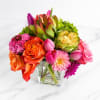 A vibrant gathering of bold color, sculptural greens, and expressive blooms, Vibrantly