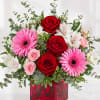 Gerbera daisies, spray roses, roses and alstroemeria come together in a red