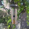 Wind chime hanging from a tree branch outdoors
