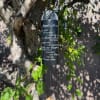 Black memorial wind chime hanging from a tree branch