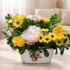 Sunshine yellow blooms meet soft pink and white petals in this cheerful