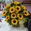 Sunflower arrangement with a birthday balloon and ribbon in a wooden container.