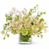 An elegant, garden-inspired arrangement featuring soft green cymbidium orchids paired with lush