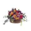 This basket arrangement with its vibrant rainbow of colorful carnations, stock and