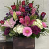 Our popular LARGE wooden garden box with the freshest mix! This design