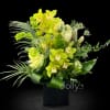 Lime-green orchids rise like living jewels in this Orchid Opulence flower arrangement