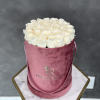 White roses arranged in a pink velvet hat box