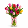 Colorful tulips arranged in a clear glass vase with a pink ribbon