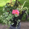 Beautiful shade flower pot with assorted plants,! easy to care for and