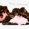 Indulge in a luxurious twist on a classic favorite with our New