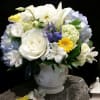The most beautiful creamy white roses at their peak of freshness Rich
