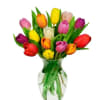 Colorful tulips arranged in a clear glass vase