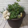 For the gardener or cook in your life, we offer a fresh