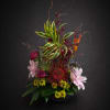 Go ahead, take someone&rsquo;s breath away.

**One Sided Arrangement**