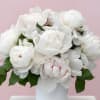 A breathtaking bundle of pure peonies, gathered in their fullest, most velvety