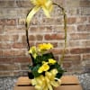 A beautiful, vibrantly colored Rieger begonia plant with a decorative handle. The