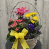 A lively mix of bright pink, sunny yellow, and soft purple blooms