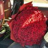 Large bouquet of red roses wrapped in red paper