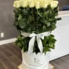Cream roses arranged in a white hat box with a ribbon