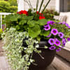 Celebrate Mom with a gift that keeps blooming. Our handcrafted porch pots