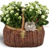 The baskets we have are white and we like to make a