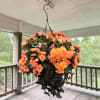 Lush clusters of orange begonias spill from a hanging basket, their rounded