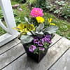 Bright, garden-fresh color greets the recipient the moment they see this small