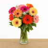 Brighten someone&rsquo;s day with our Happy Bay Gerberas, a joyful arrangement inspired