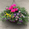 Our Annual Hanging Baskets are a customer favorite and a perfect Mother&rsquo;s