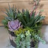 A sculptural cluster of succulents arranged in a clear glass bowl makes