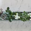 Gorgeous succulents and small seasonal plants potted in beautiful clear glass rectangle