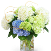 Say it with Flowers! Hello, Hydrangea! is the perfect design to warm