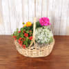 Wicker basket of mixed flowering plants in bright pink, orange, yellow, and white blooms on a wooden table