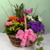 A cheerful woven basket overflowing with bright springtime color, this garden in