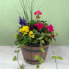 A lively mix of potted flowering plants brings the colors of summer