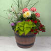 A large, lively mix of potted flowering plants creates a showstopper of