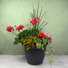 A burst of vibrant flowering plants and lush foliage make this outdoor