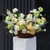 A soft palette of creamy whites, gentle yellows, and fresh greens creates