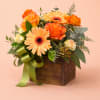 Our Golden Peach Garden Box is designed with a vibrant mix of